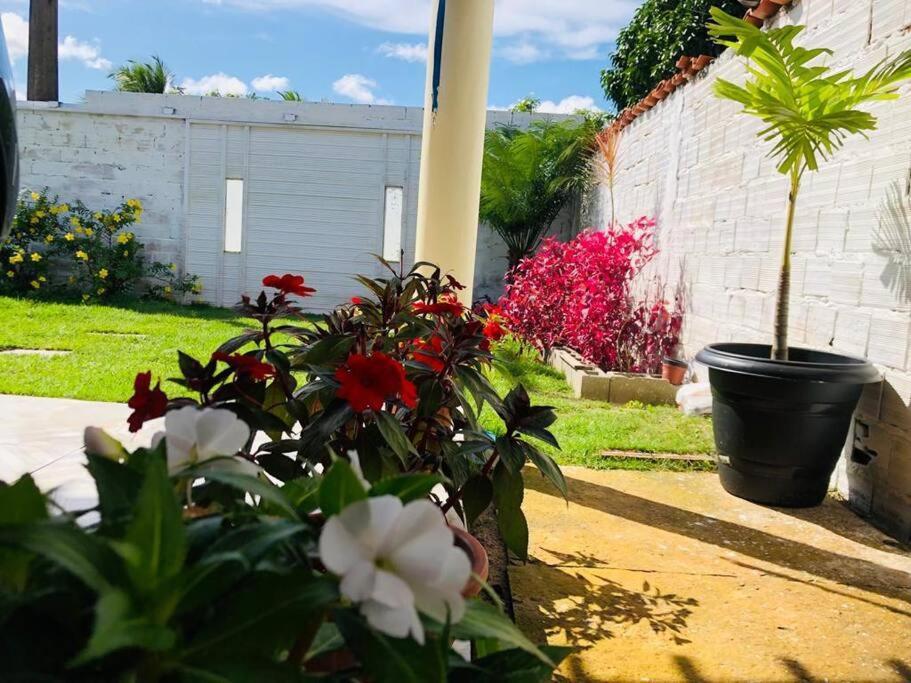 Apartamento Casa Em Barreirinhas 01 Exterior foto